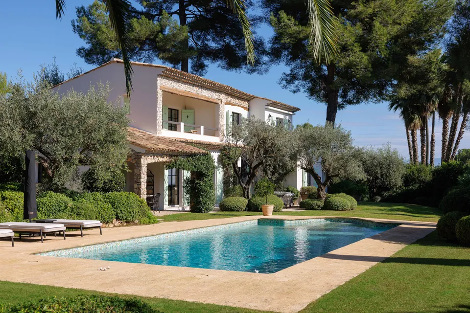 Villa Olivine — The pool and the majestic pines